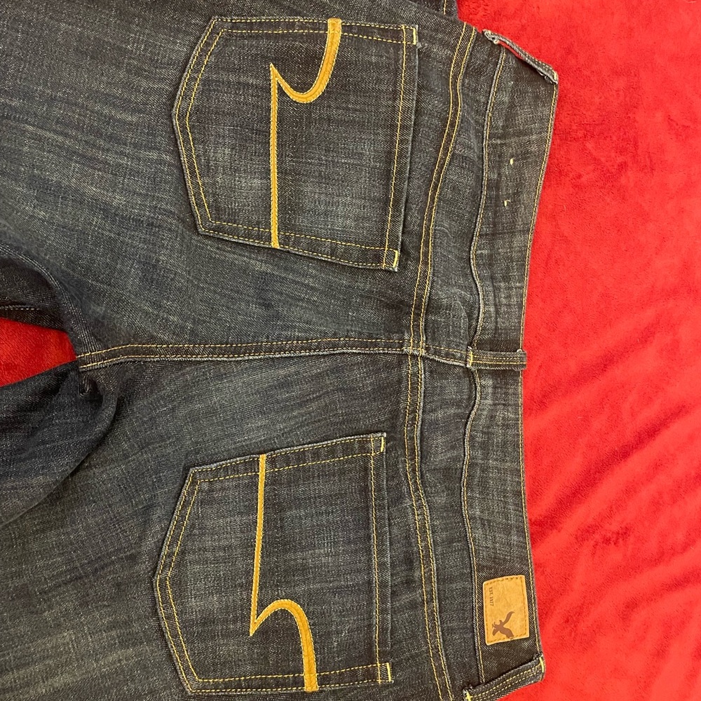 American Eagle Artist Crop Jeans